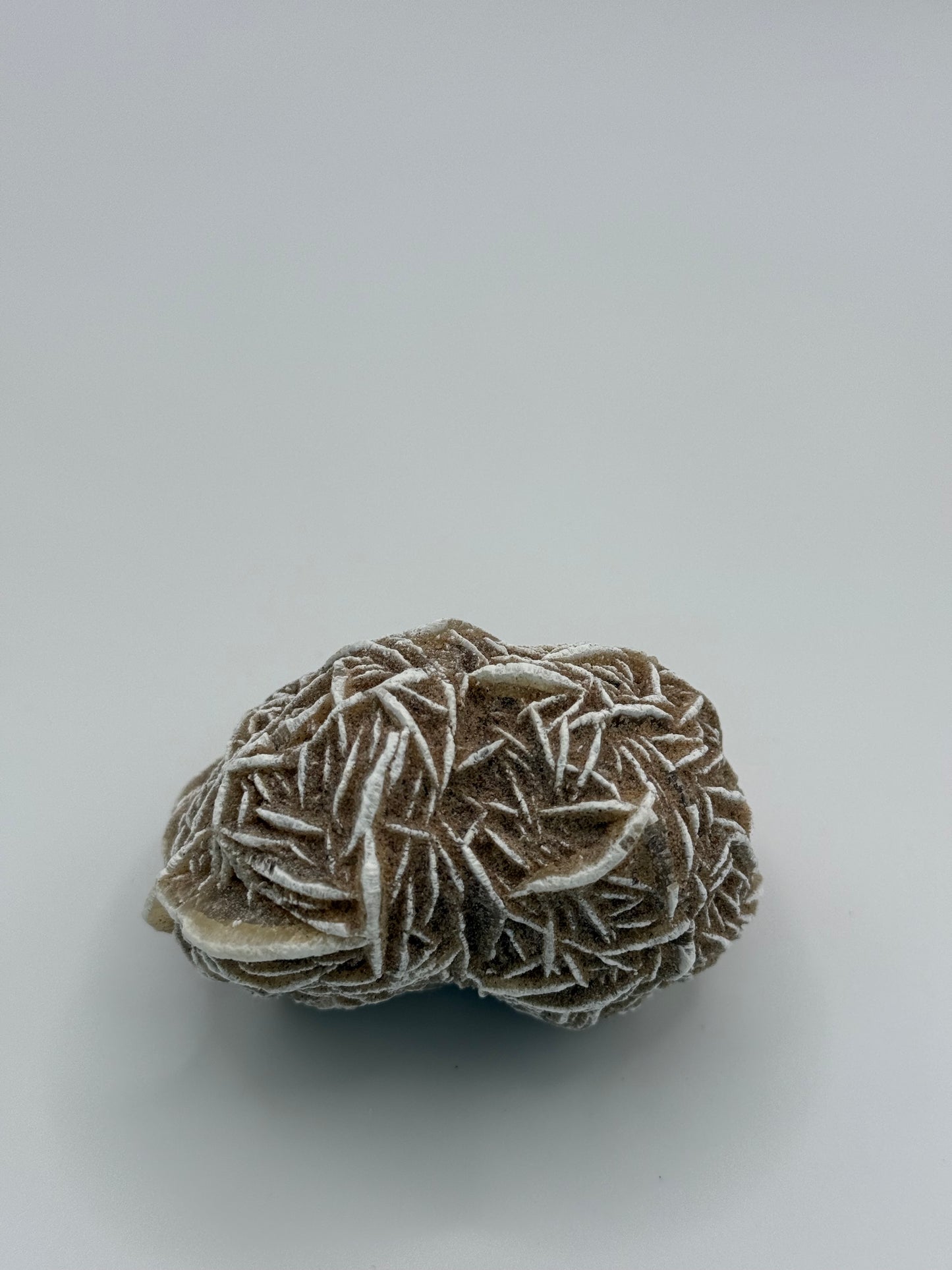 Desert Rose Selenite