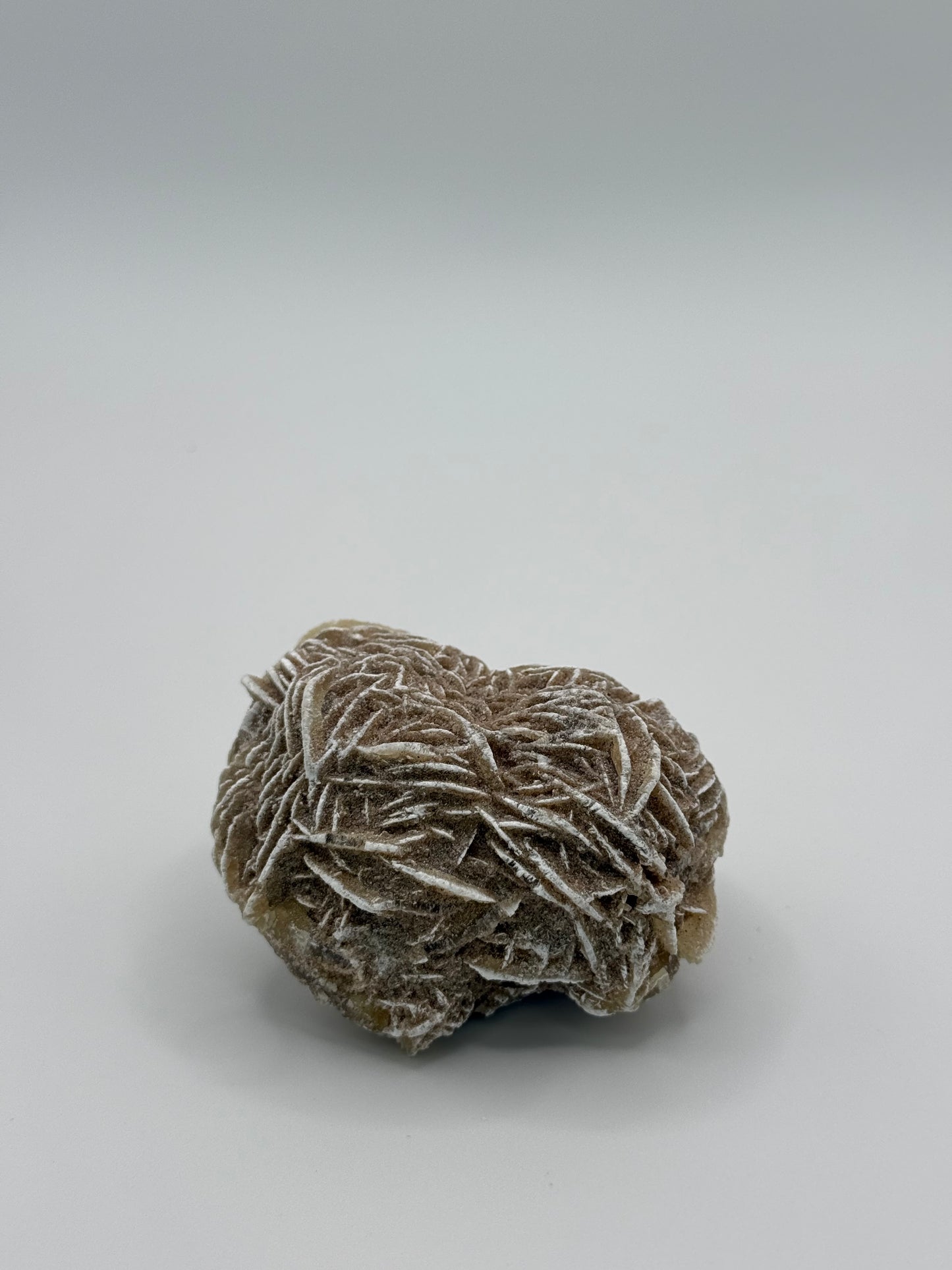 Desert Rose Selenite
