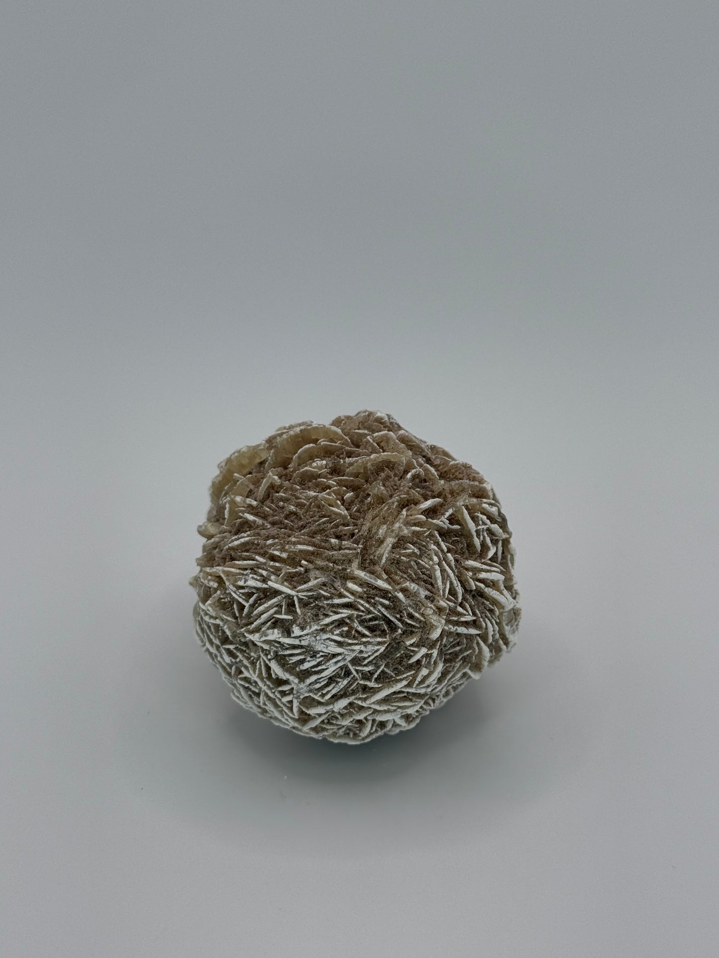 Desert Rose Selenite