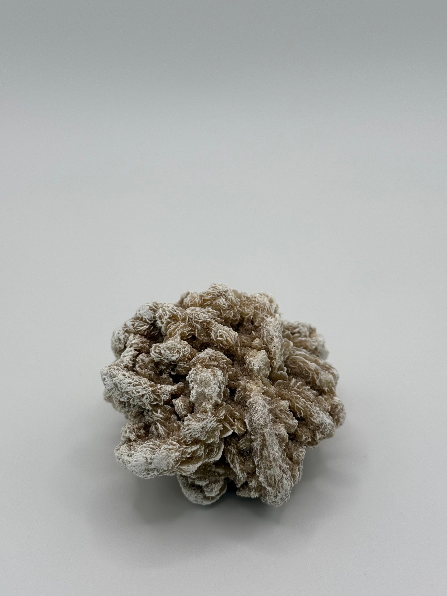 Desert Rose Selenite