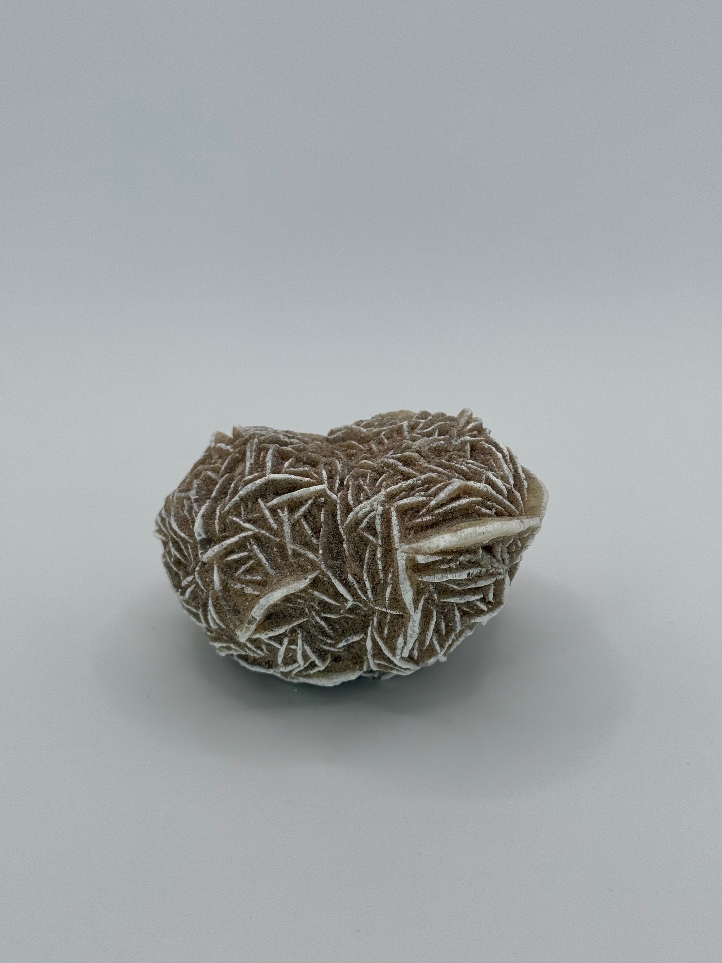 Desert Rose Selenite
