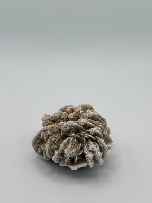 Desert Rose Selenite