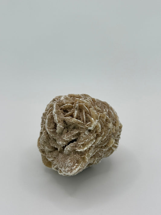 Desert Rose Selenite