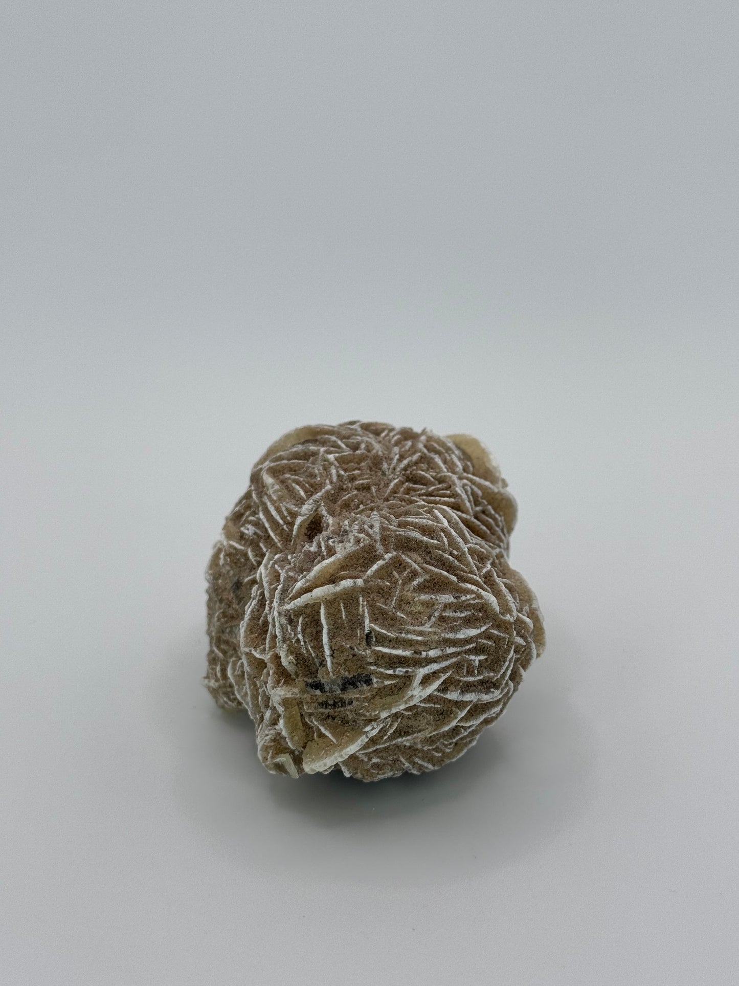 Desert Rose Selenite