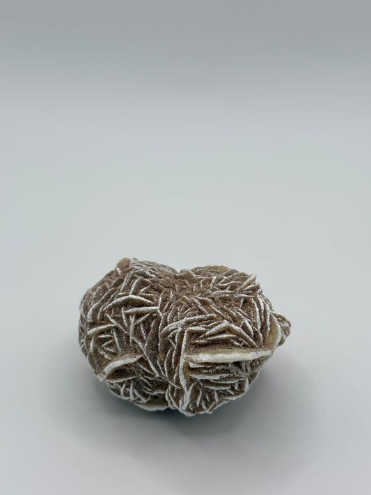 Desert Rose Selenite