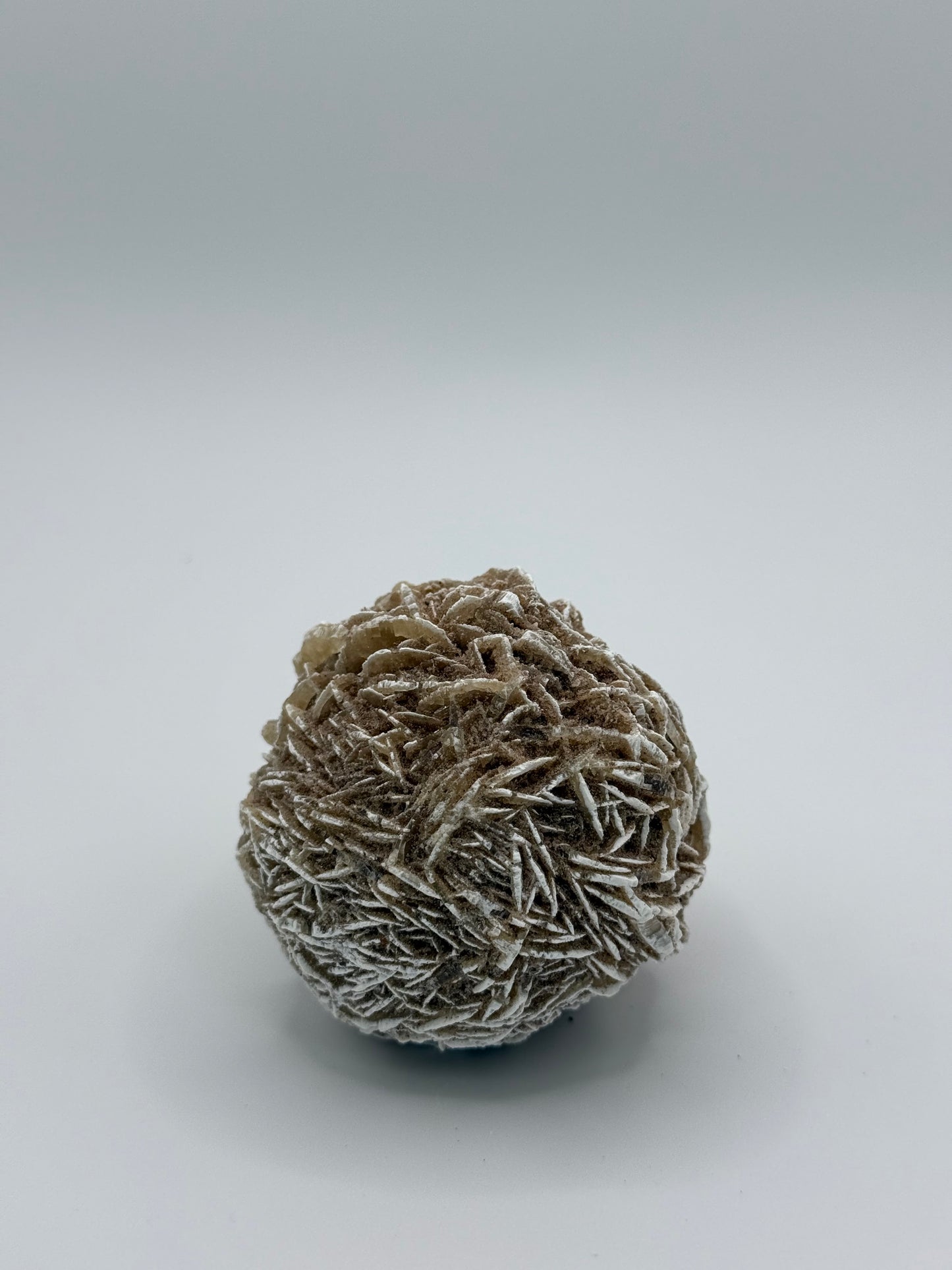 Desert Rose Selenite
