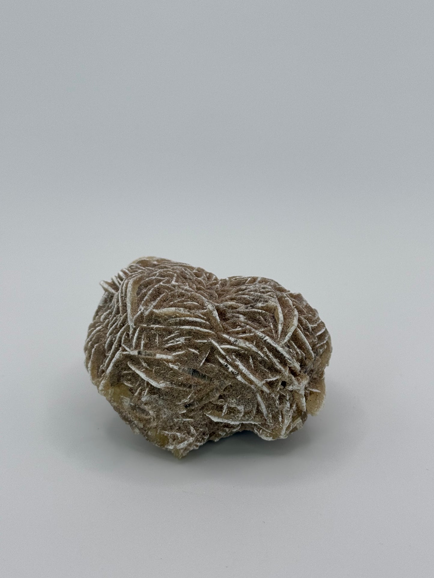 Desert Rose Selenite