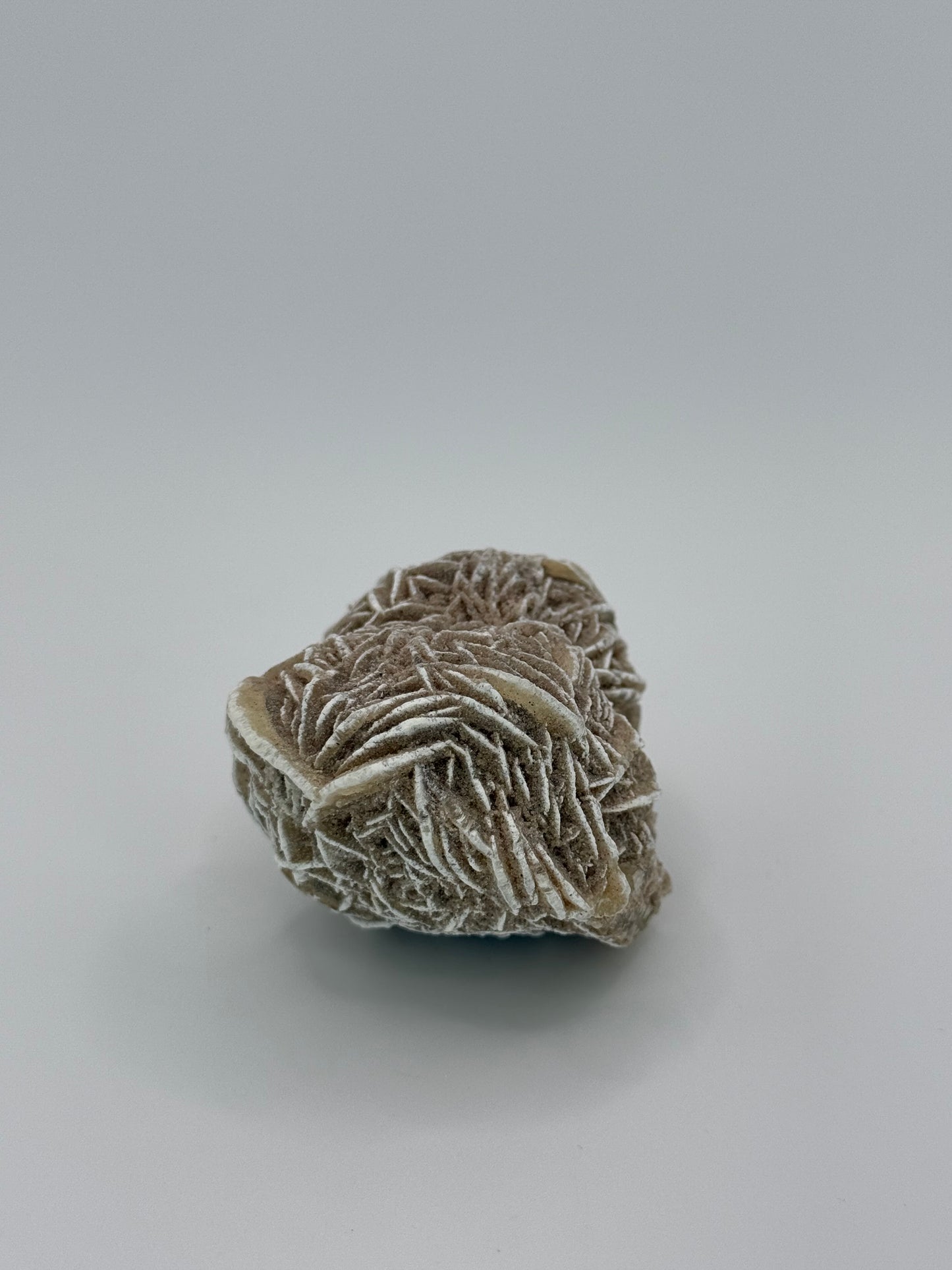 Desert Rose Selenite