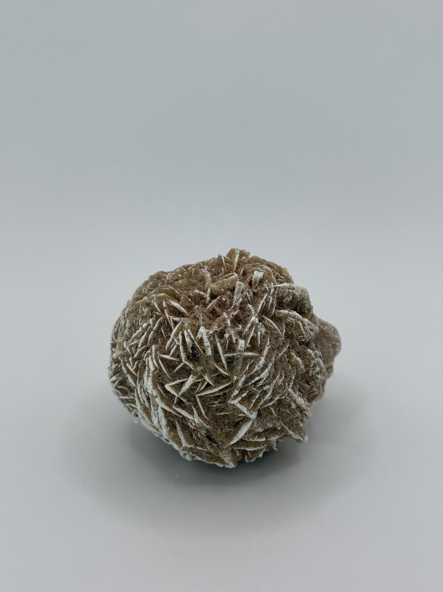 Desert Rose Selenite
