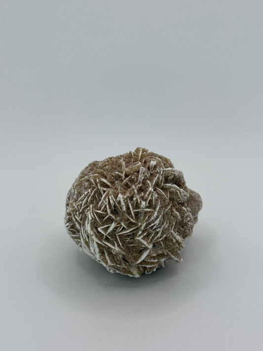 Desert Rose Selenite