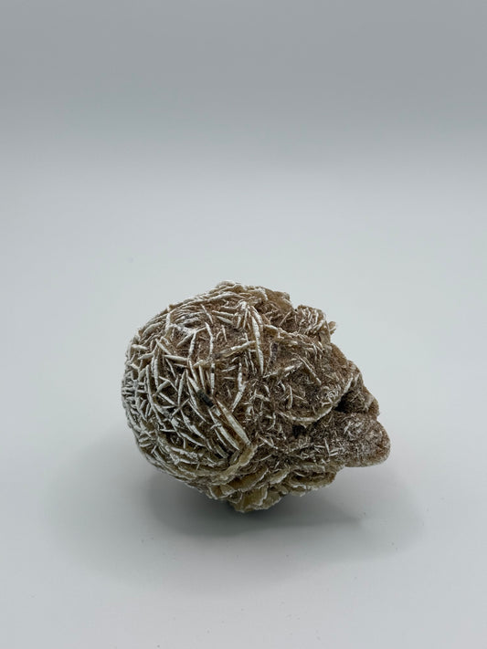 Desert Rose Selenite